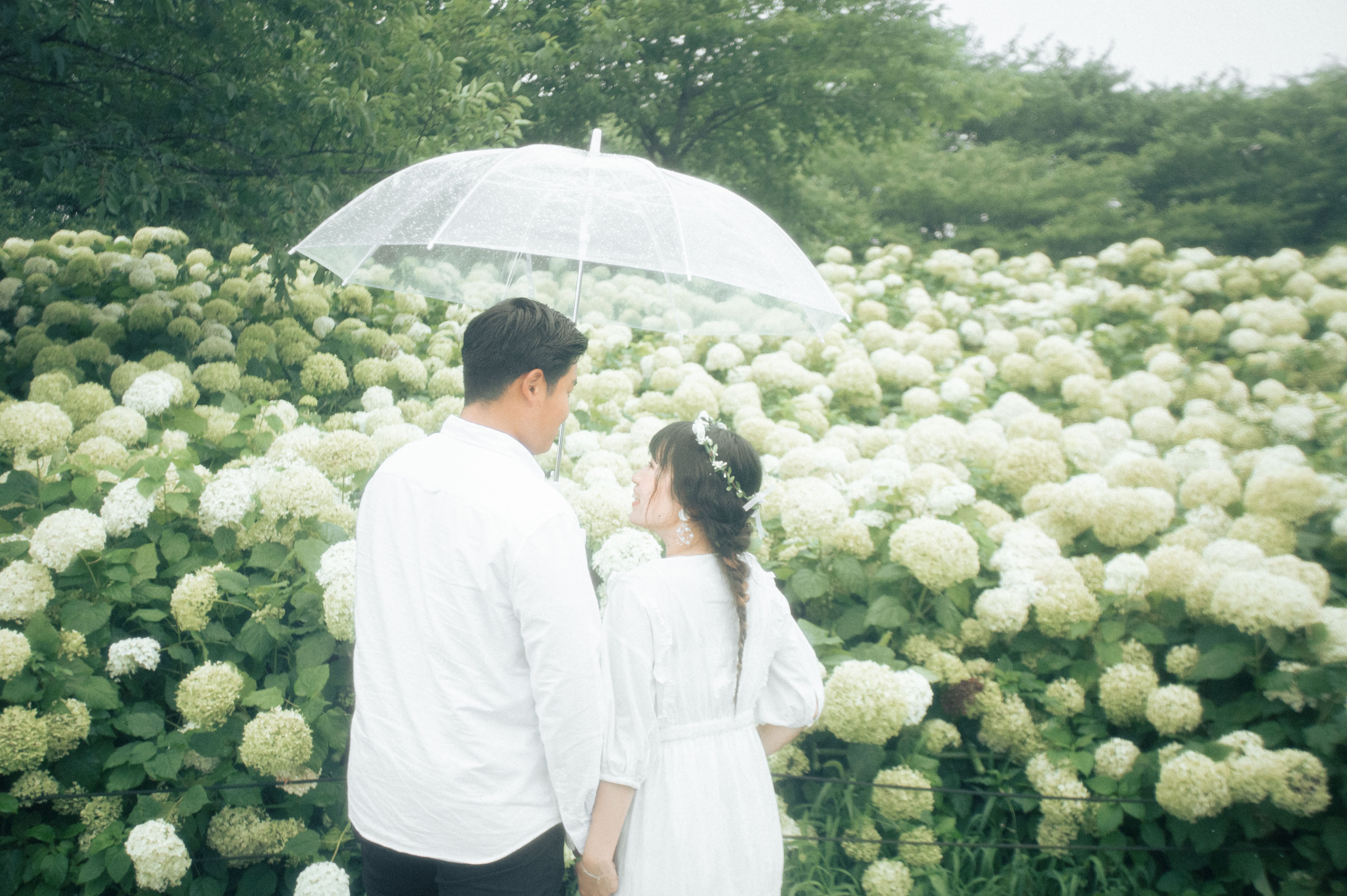 前撮りプラン写真